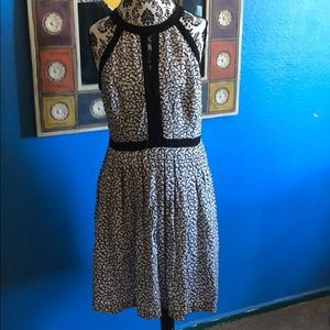 White House black market dress